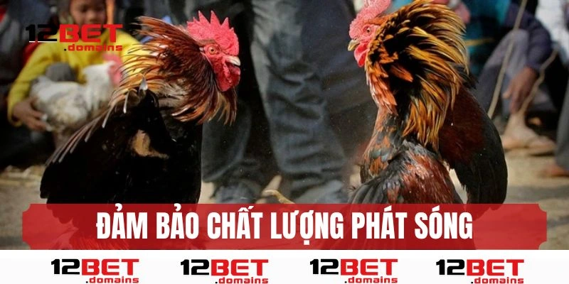 Đảm bảo chất lượng phát sóng