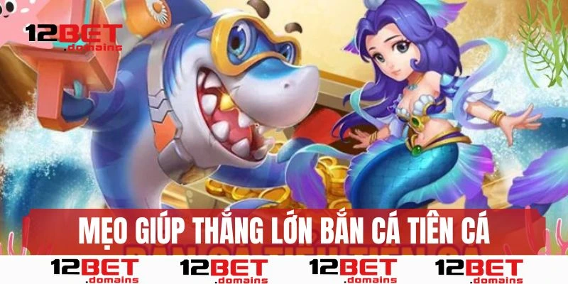 Mẹo hay giúp anh em thắng lớn với bắn cá tiên cá